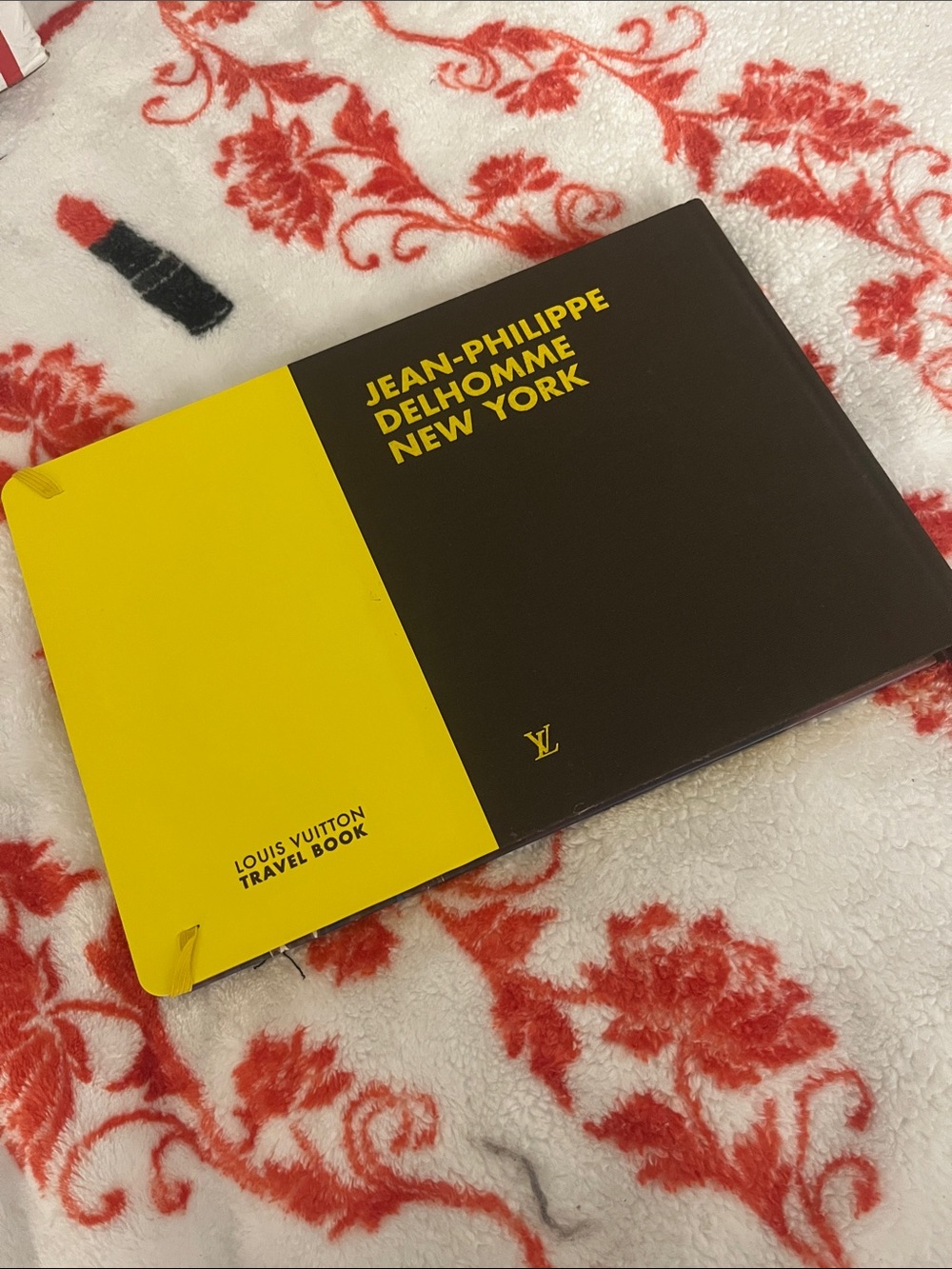Louis Vuitton Jean-Philippe Delhomme New York Book